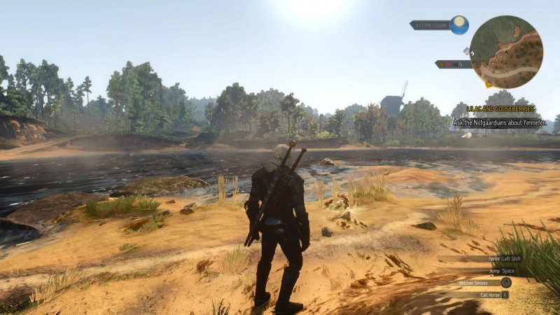 witcher3 2015-05-19 02-11-12-56.jpg