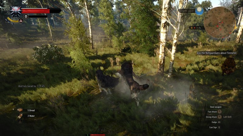 witcher3 2015-05-19 02-13-27-38.jpg