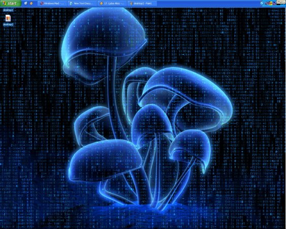 desktop3.JPG