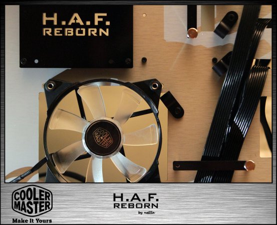 HAF reborn  387.jpg