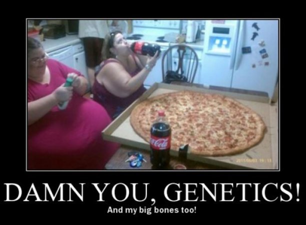 Damn_you_genetics_9buz.jpg