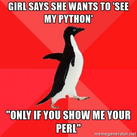 socially-awesome-penguin-girl-says-she-wants-to-see-my-python-only-if-you-show-me-your-perl.jpg
