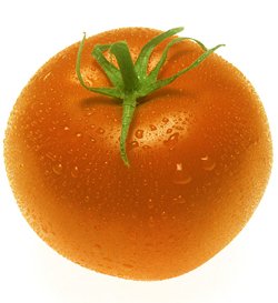 tomato-orange.jpg