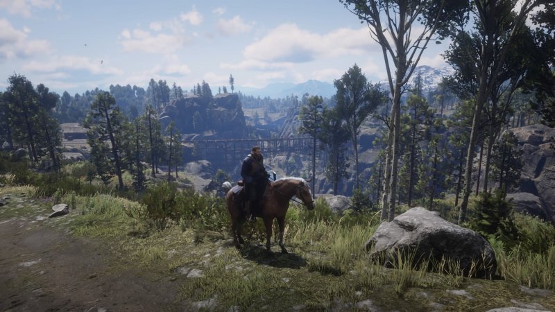 Red Dead Redemption 2_20190430133329.jpg