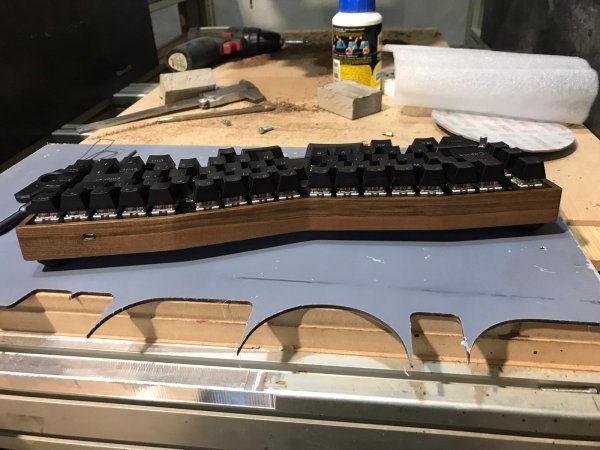 WhatsApp Image 2021-02-07 at 19.55.33.jpeg