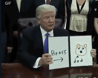 bears.PNG