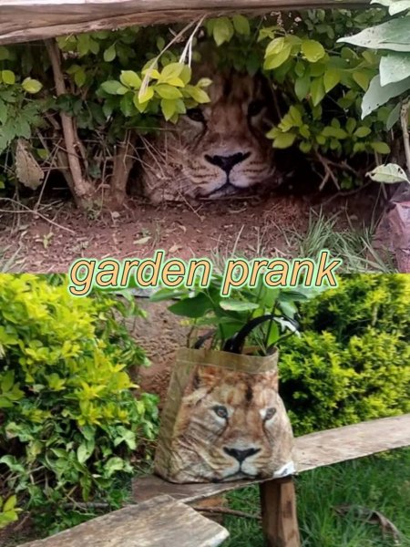 garden prank.jpg