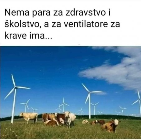 20220808_070117.jpg