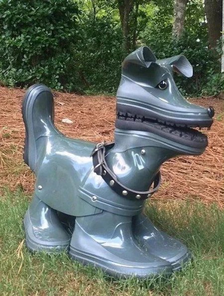 boot-dog.jpg