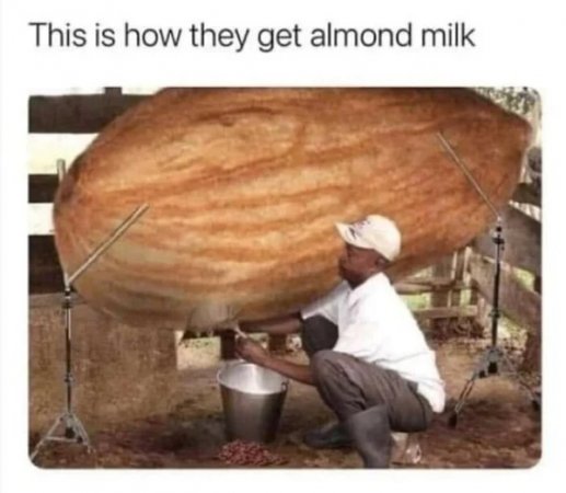 almond.jpg