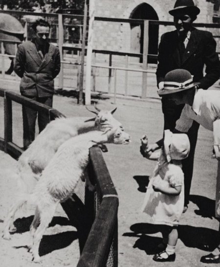 zoloski vrt.jpg