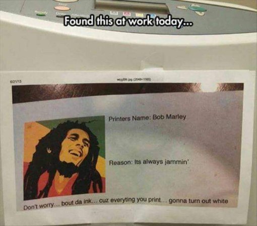FB_IMG_1675457981191.jpg