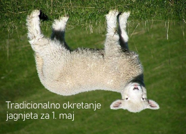 IMG-8d924e0ef567c3e813942f538c319edf-V.jpg