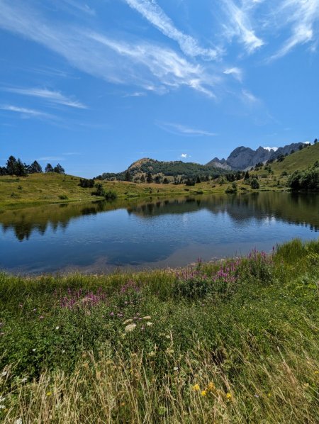 PXL_20230730_092543694.jpg