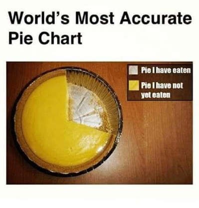 pie chart.jpg