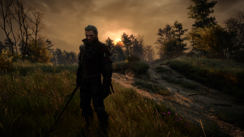 The Witcher 3 Screenshot 2023.04.08 - 15.12.38.99.png