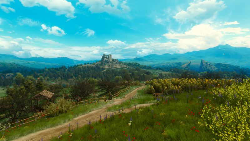 The Witcher 3 Screenshot 2023.10.08 - 00.42.33.66.png