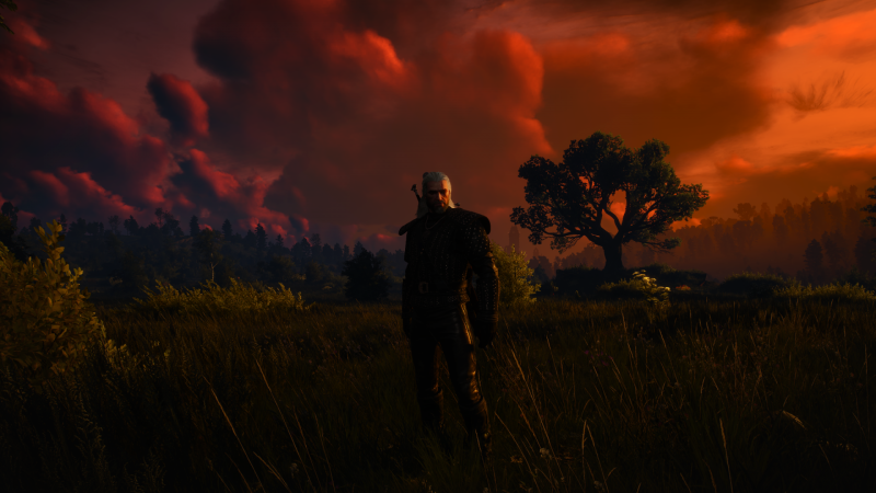 The Witcher 3 Screenshot 2023.09.21 - 21.39.19.38.png