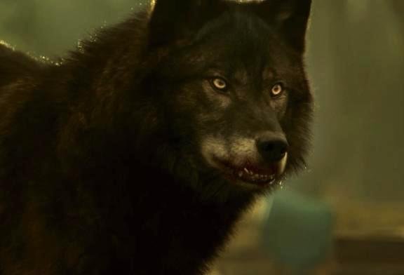 Hemlock_Grove_Werewolf.jpg