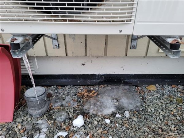 20231208_100700 (Small).jpg