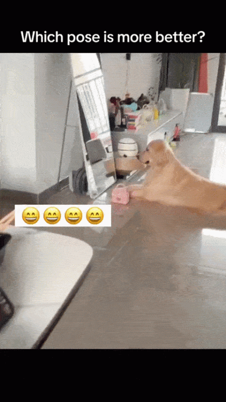 ezgif-1-3f460b8043.gif