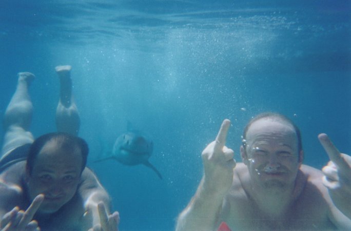 Shark.jpg