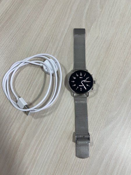 Skagen Falster Gen 6 (1).jpg