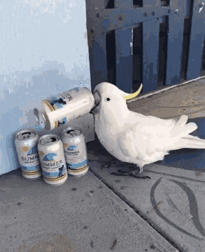 yry4.gif