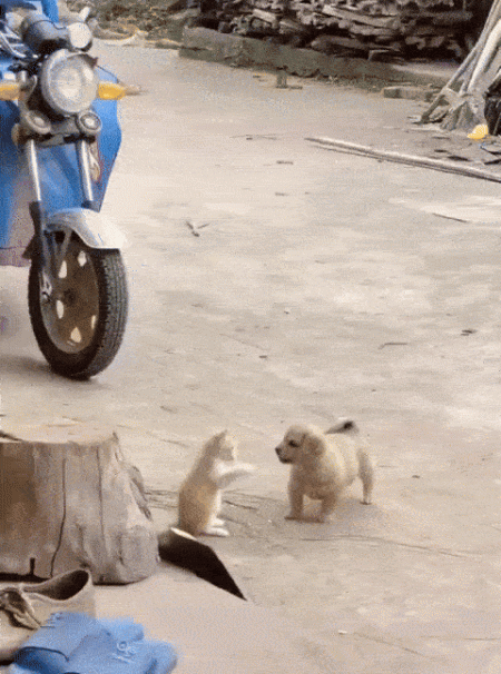 ezgif-1-239f3fd55b.gif