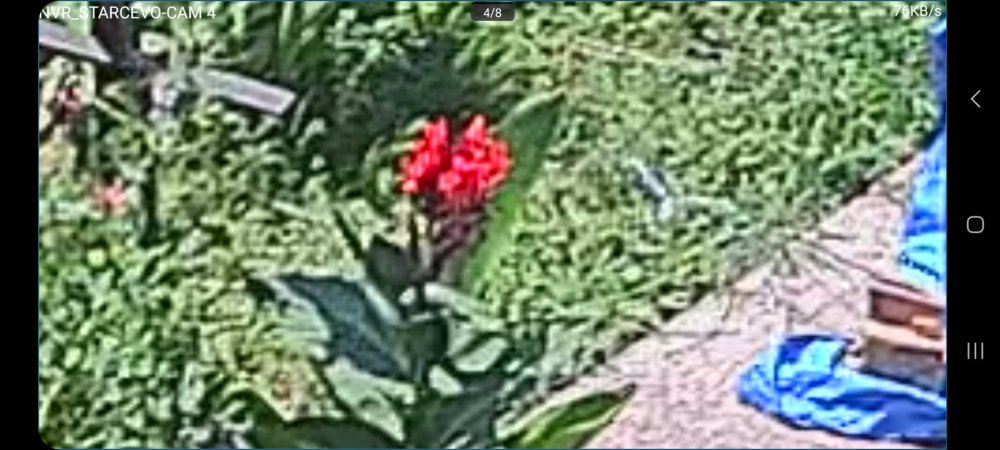 Screenshot_20240715_121426.jpg