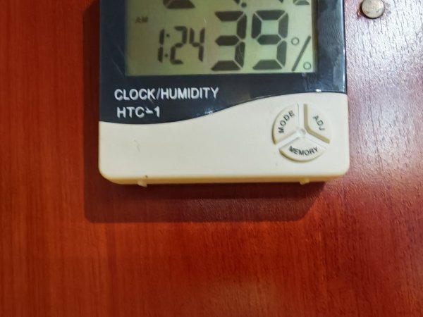 1000022103.jpg