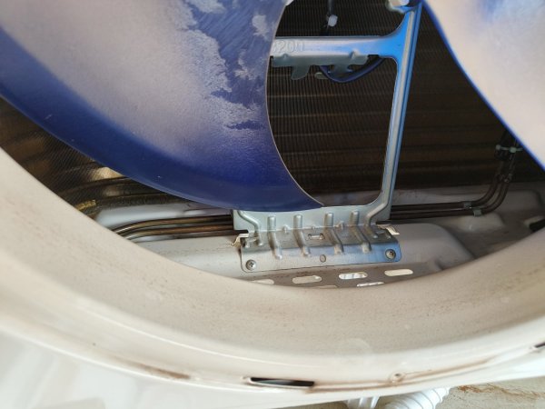 IMG20240920125621.jpg
