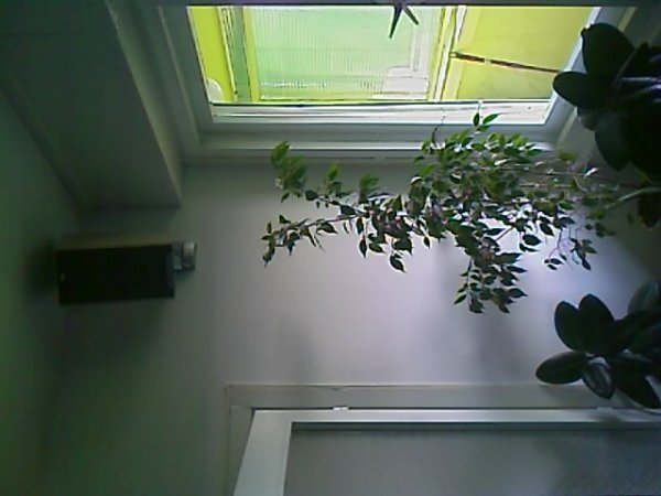 IMAG0052.jpg