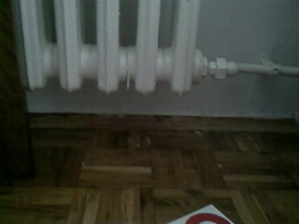 IMAG0053.jpg