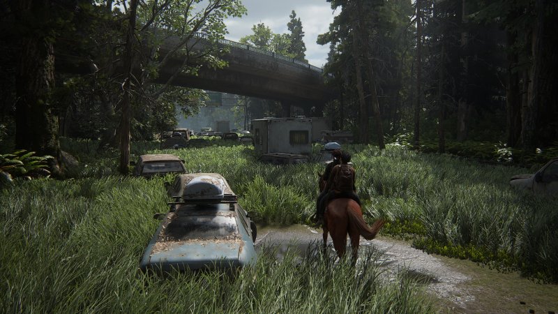 The Last of Us™ Part II Remastered Screenshot 2025.04.04 - 16.20.57.70.jpg