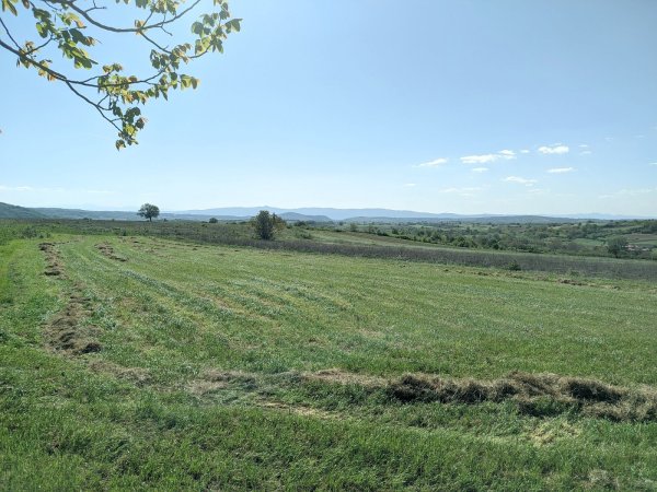 Image_02.jpg