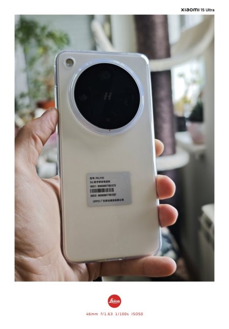 1000004674.jpg
