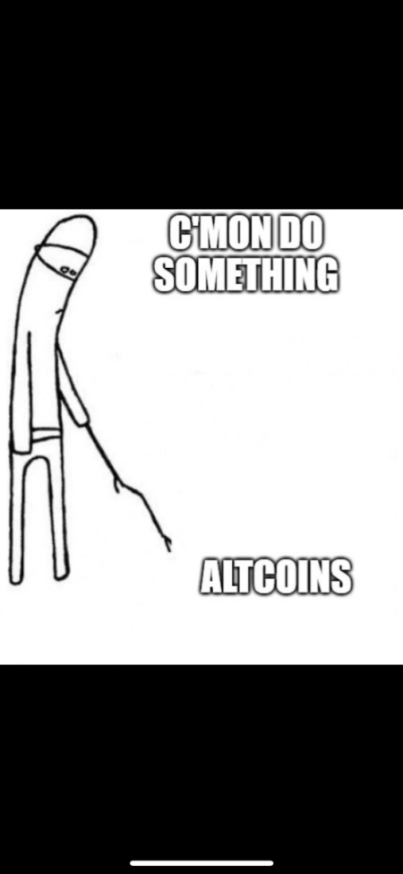 IMG_9271.png
