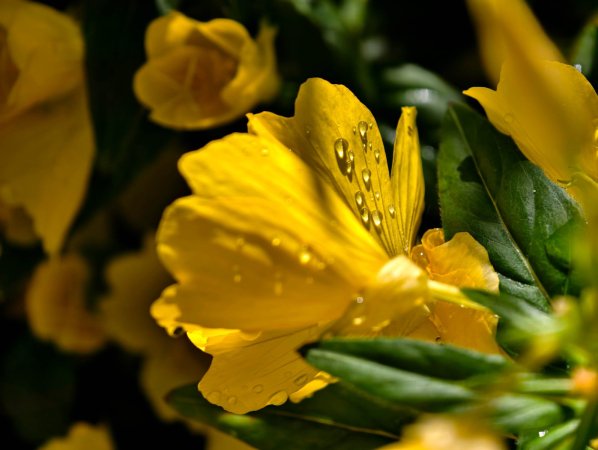 IMG_20250529_094249.jpg