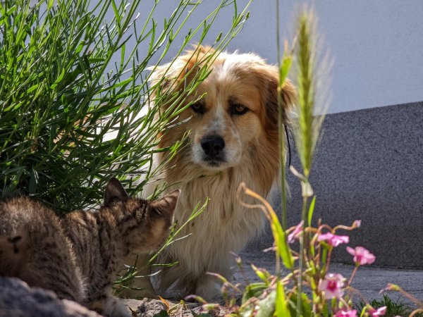 javav43inst_20240517_111749439.jpg
