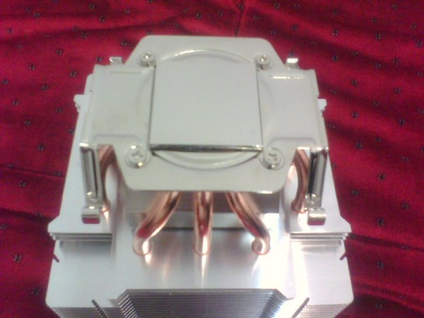 IMG0022A.jpg