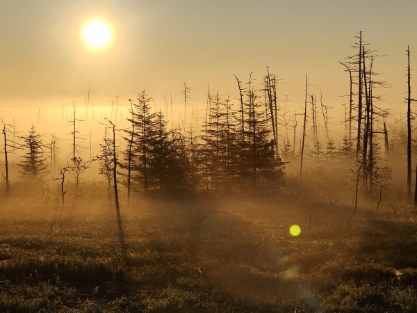 2020-08-14 06-40-28.JPG