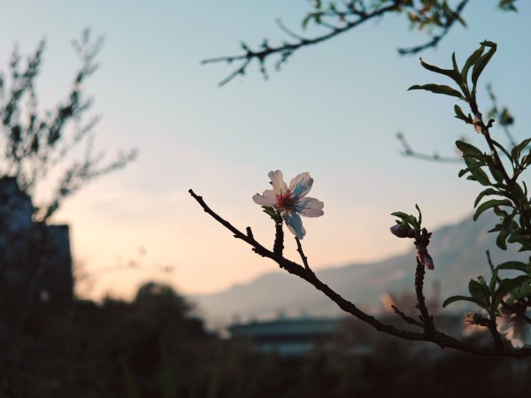 IMG_20260305_183540 (1).jpg