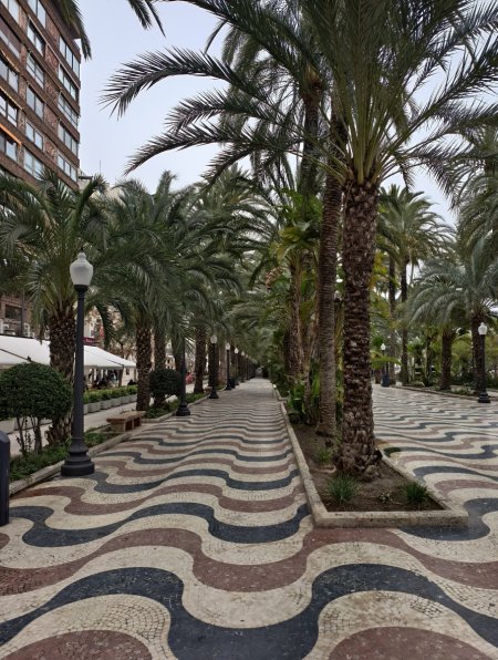 IMG_20260304_144145 Copy.jpeg