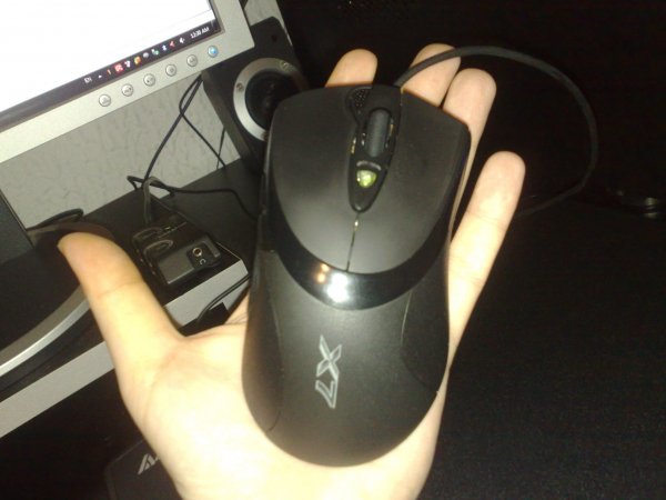 10032011071.jpg