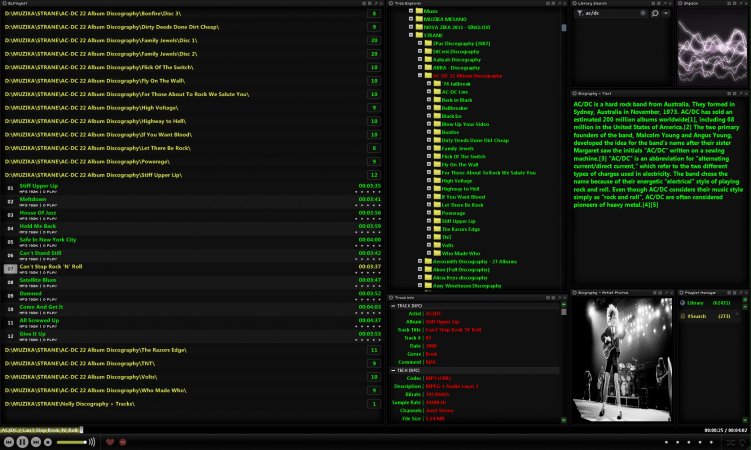 Foobar skin.jpg