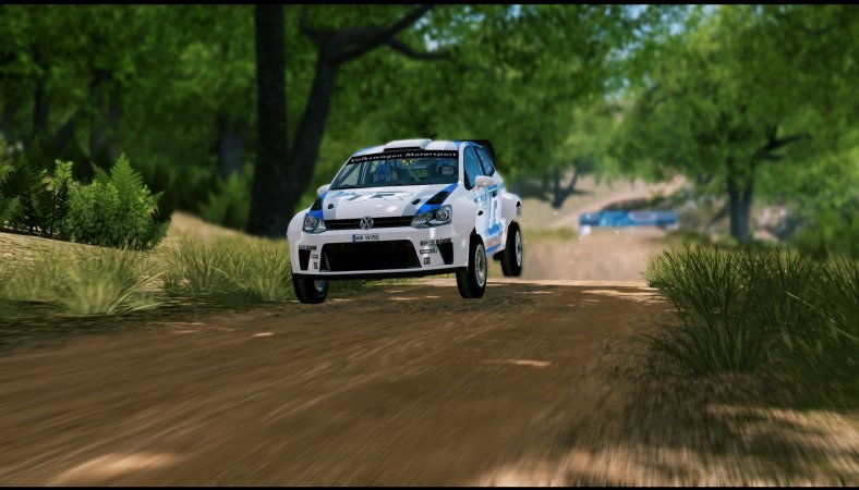 WRC3_2012_12_27_19_46_29_178.jpg
