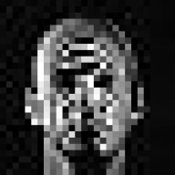 apesic