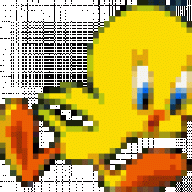 Jeca N