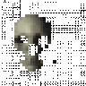 UbicaPg